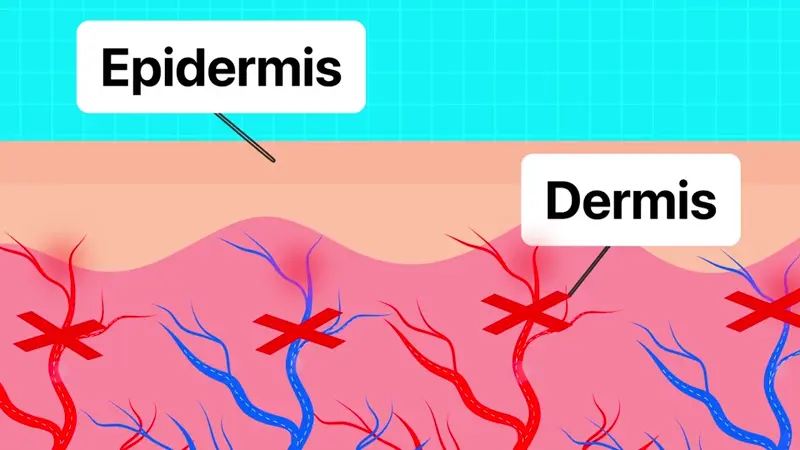 gempages_529564625927144577-76244a69-9971-436e-a42a-464da89a1e97